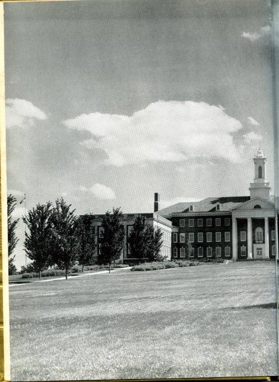 UOM50-2.jpg